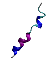 Structure of an Antimicrobial Peptide