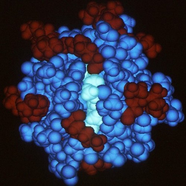 Post Image: An Improved Method to Cluster Biological Molecule Structures